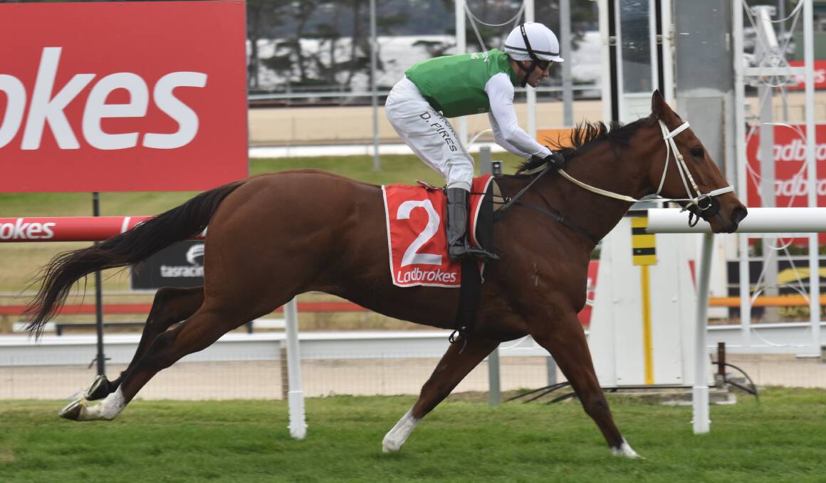 SPRING CAMPAIGN: Hela, the top three-year-old filly in Tasmania last season, begins her spring campaign at Caulfield on Saturday where she is early favourite for the Benchmark 78 Handicap.