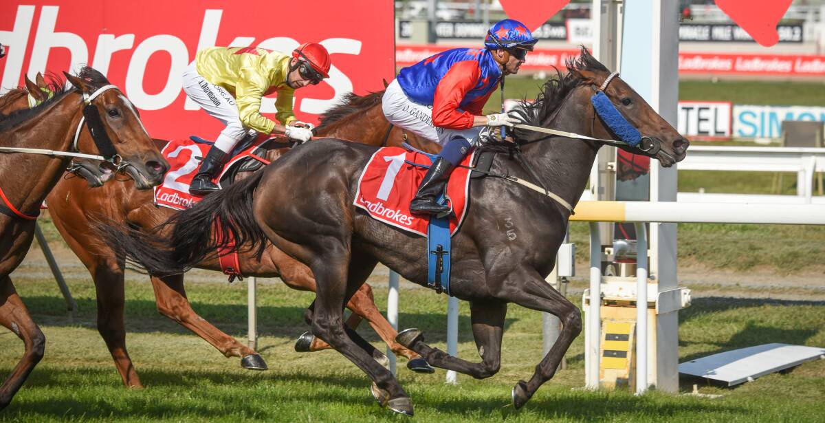 OUT: Fighting Phoenix wins at Mowbray on March 28. The mare has since lost the race due to a positive swab and her trainer Mark Ganderton has been disqualified. Picture: Paul Scambler