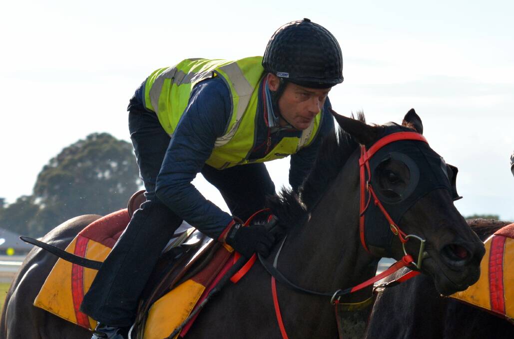 NEARLY READY: Trainer Adam Trinder rode Mystic Journey in a track gallop at Mowbray on Wednesday night, reporting that she ''felt really good''.