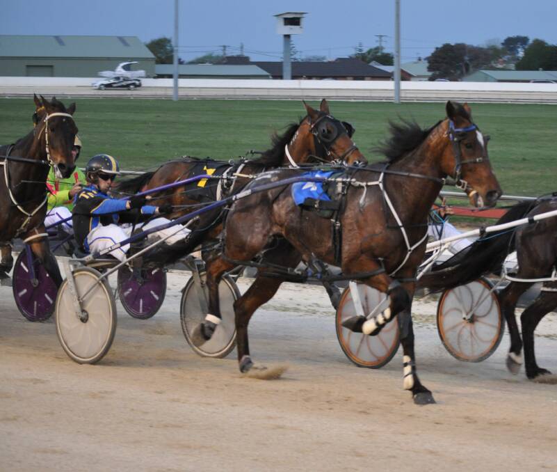 Hez The One was a longshot winner in Hobart on Sunday night