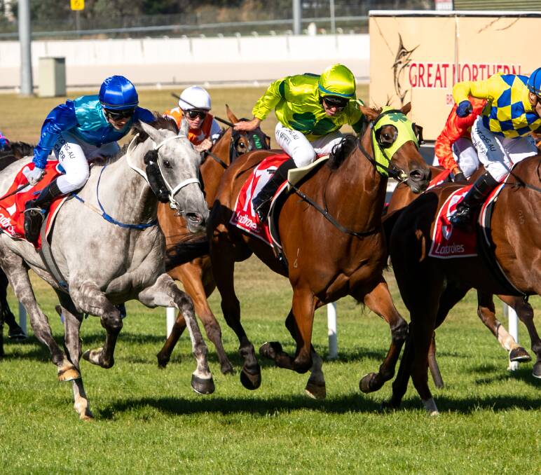 RIDER BOOKED: Sh'bourne Renegade (centre) battles out the finish of the 2021 Launceston Cup where he finished second. Picture: Paul Scambler