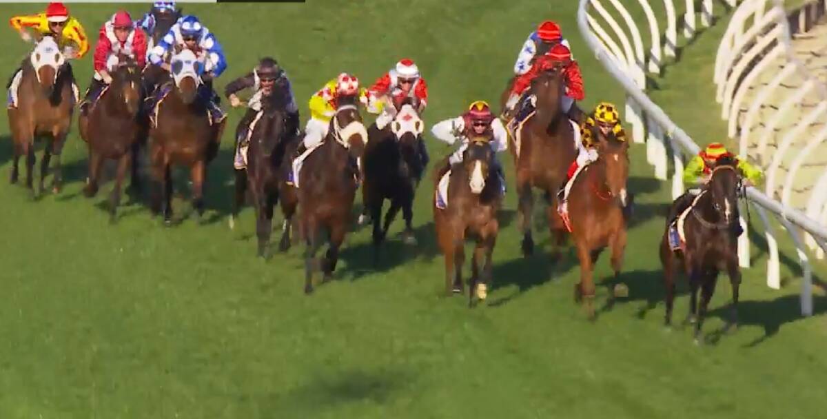 SPRING STAR: Glenfiddich, four wide with Craig Newitt riding, makes the home turn awkwardly on his way to a third in Saturday's Memsie Stakes at Caulfield. The colt is part-owned in Tasmania.