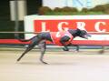 HOT FAVOURITE: A spot in the $75,000 National Sprint Final in Sydney is at stake when McInerney runs at Mowbray on Thursday night.