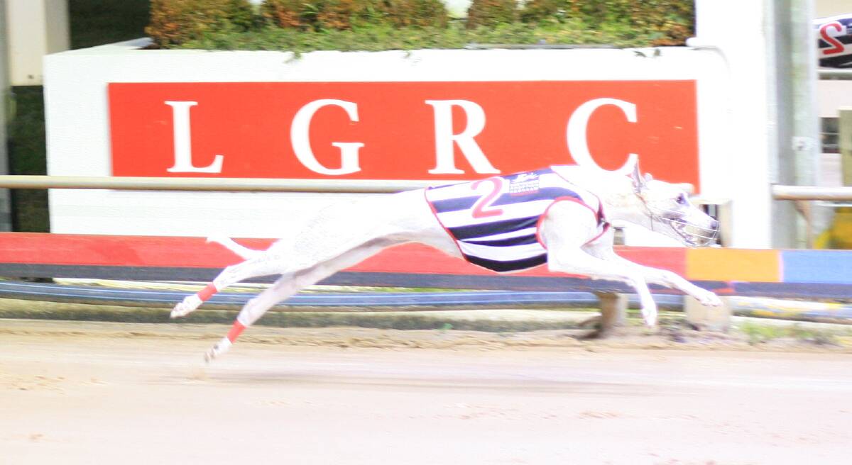 Wynburn Ruby turned the Tasmanian Oaks final into a one-dog race, scoring by 10 lengths.
