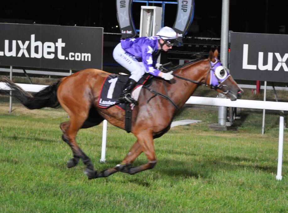 WINNING COMBINATION: In-form stayer Eastender and jockey Craig Newitt are on track to the $250,000 Hobart Cup at Elwick on February 11. Picture: Greg Mansfield