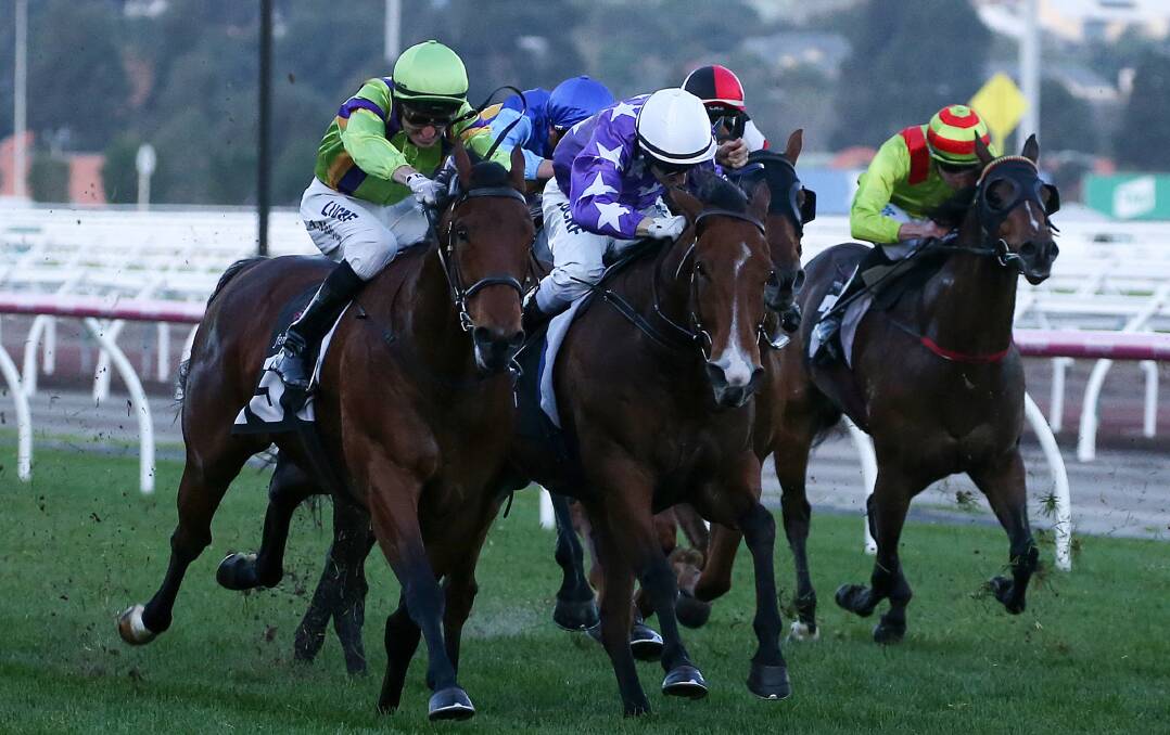 WEATHER WATCH: Derasa (second left), ridden by Craig Newitt, is narrowly beaten at Flemington in June. Newitt is confident of winning the Newmarket at Mowbray on Wednesday night if the weather is kind. Picture: AAP.