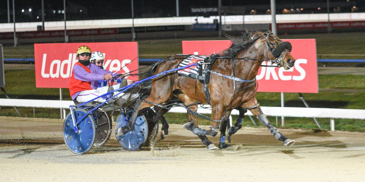 TRAINERS ENCOURAGEMENT PACE: Seventhreeohseven, driven by Rohan Hillier, wins at Mowbray on Sunday night. Picture: Stacey Lear