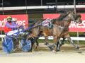 TRAINERS ENCOURAGEMENT PACE: Seventhreeohseven, driven by Rohan Hillier, wins at Mowbray on Sunday night. Picture: Stacey Lear