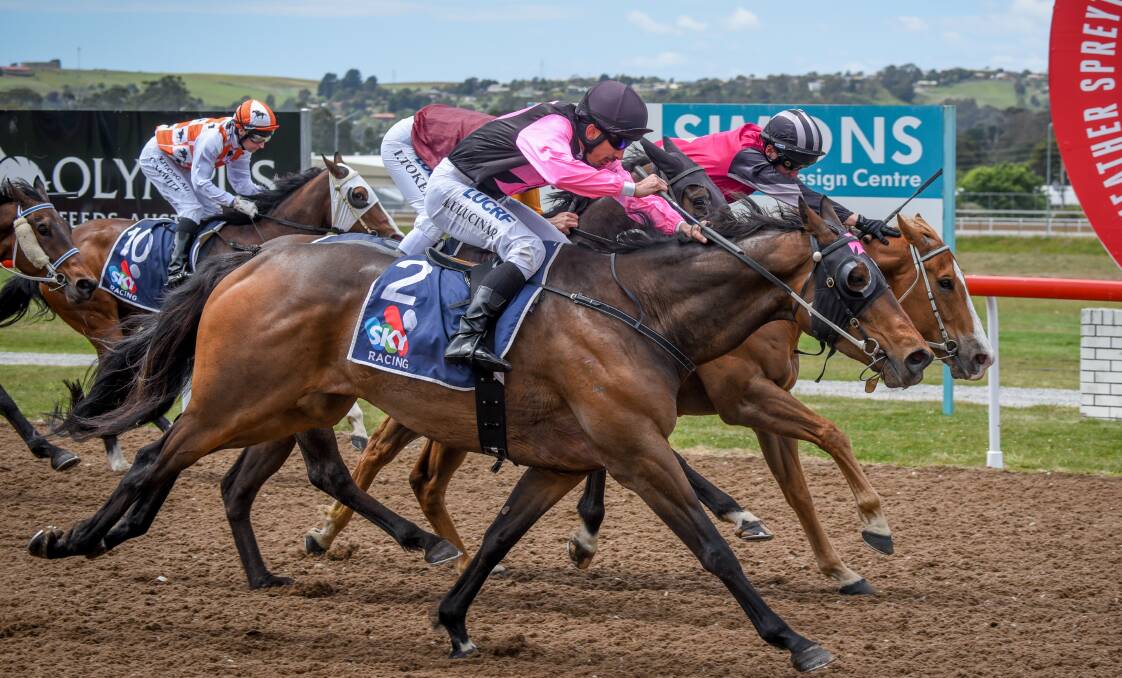 San You, ridden by Mehmet Ulucinar, scores a last-stride win at Spreyton on Tuesday. Picture: Paul Scambler