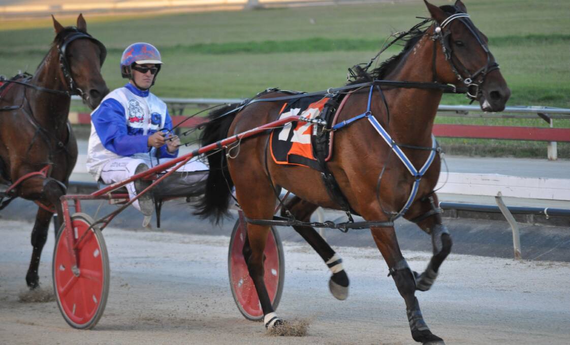 VICTORY IN SIGHT: Pachacuti and driver Todd Rattray on their way to an easy win in Sunday night's Devonport Cup. Picture: Greg Mansfield