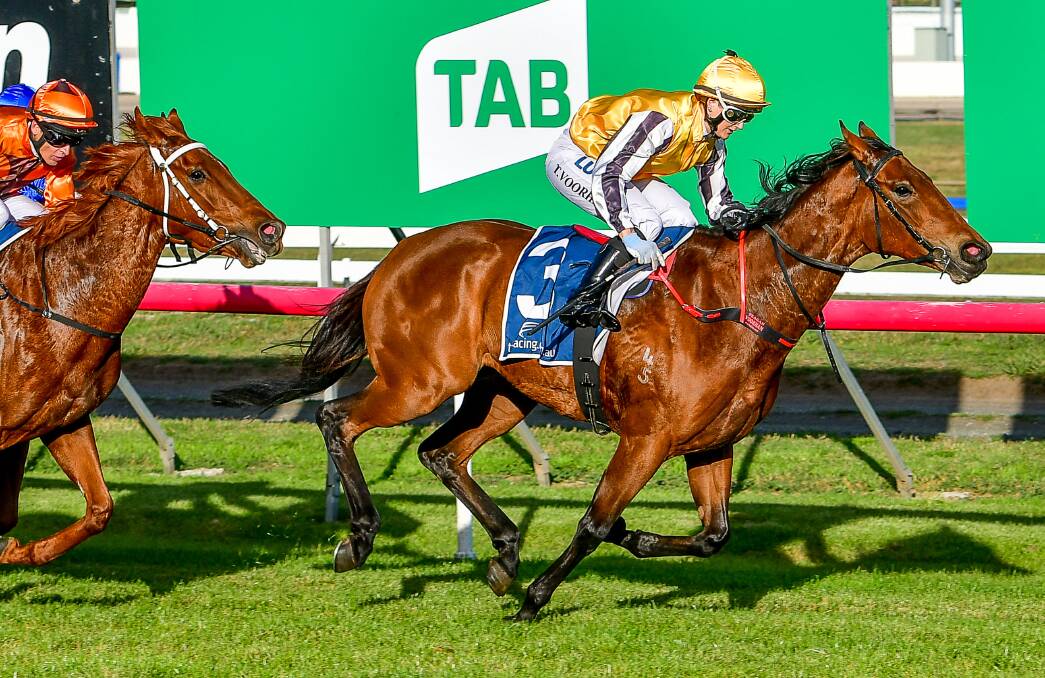 IN TUNE: Mountain Music and apprentice Teagan Voorham will be looking for their third win for the season at Spreyton on Sunday.