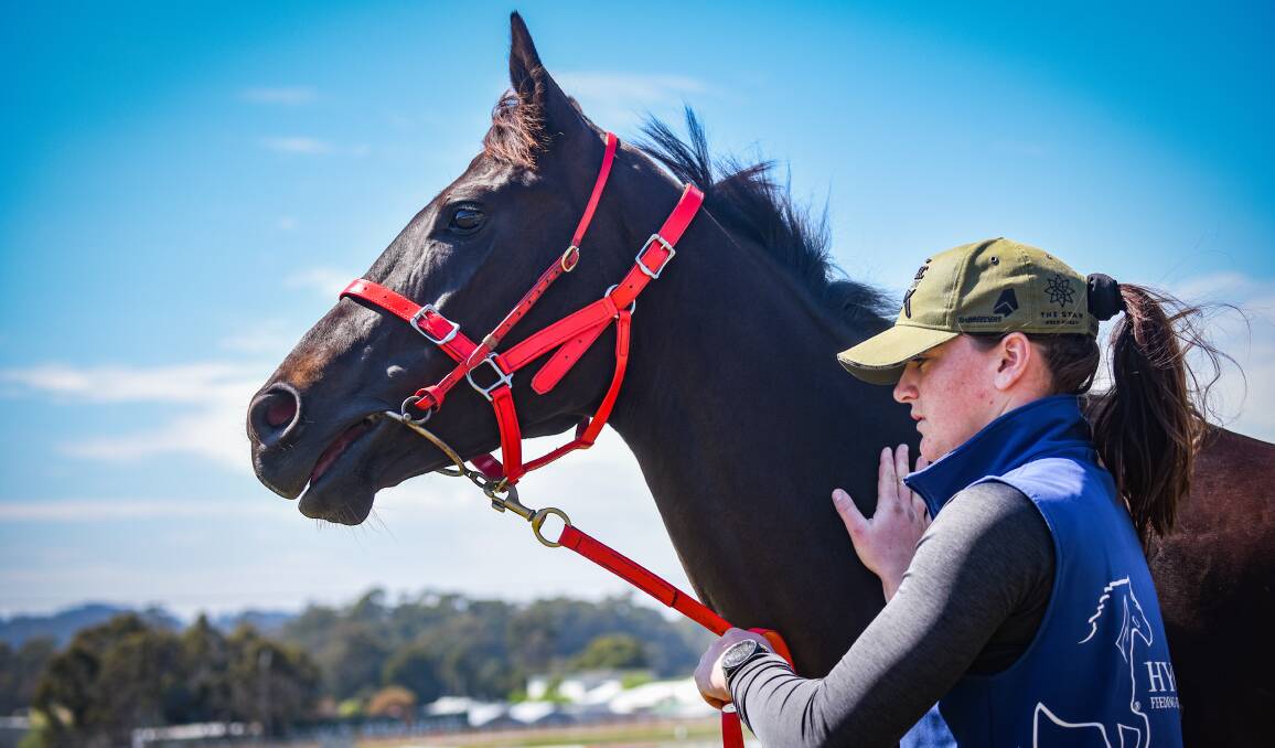 CHANCE: Mystic Journey with strapper Bronte Page. There is still a chance the star mare may race in Tasmania next month. Picture: Paul Scambler