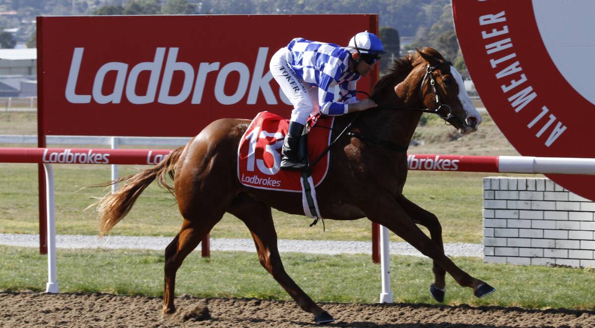 Freelancer looks set to break a run of three consecutive seconds when he races at Mowbray on Wednesday night.