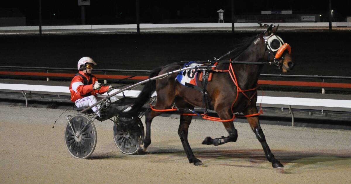 Red Shed Robbie will be chasing his second win at start No. 87 in Hobart on Tuesday night.