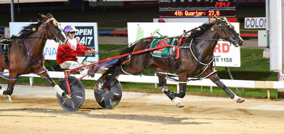 Todd Rattray is hoping Kadar steps away cleanly in Sunday's North Eastern Pacing Cup. Picture: Duncan Dornauf
