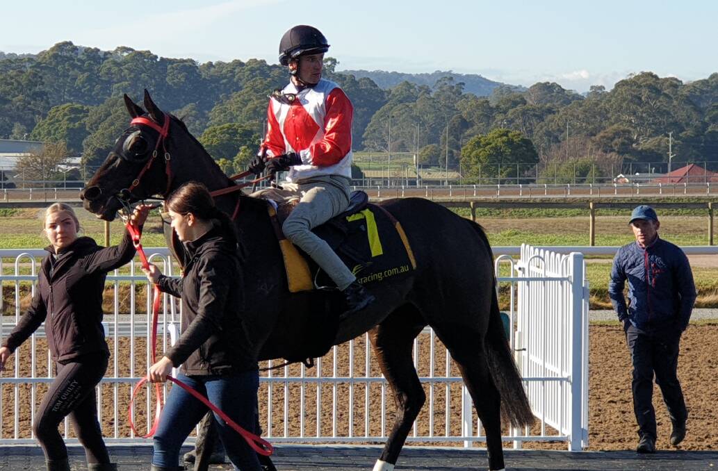 SHOCKED: Trainer Adam Trinder keeps an eye on Mystic Journey after a trial at Spreyton. Picture: Brad Cole.