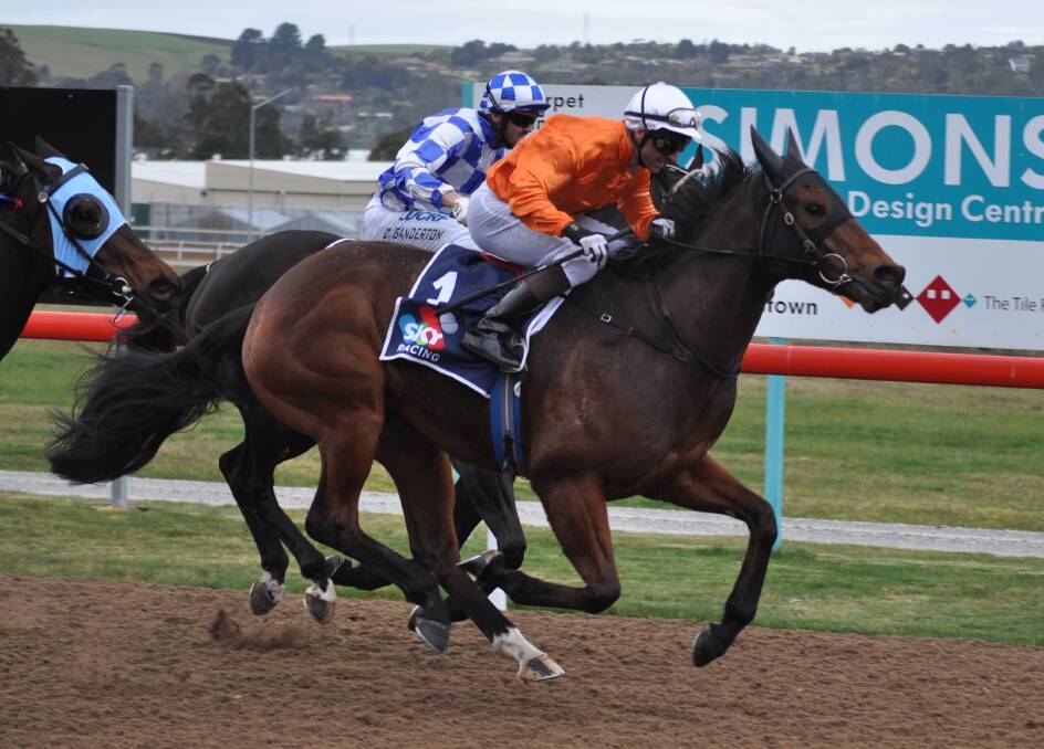 Well-bred galloper Fragment returns to his old home track at Spreyton on Sunday. Picture: Greg Mansfield