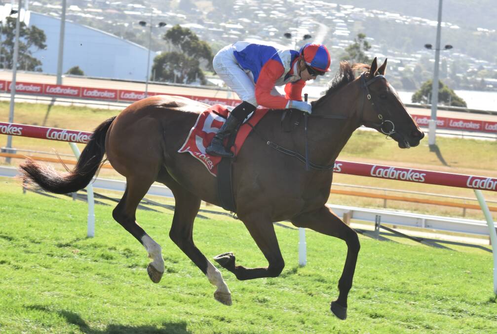 PLUNGE LANDED: Double You Tee, ridden by Jye McNeil, cruises to victory in the $250,000 Hobart Cup at Elwick on Sunday. 