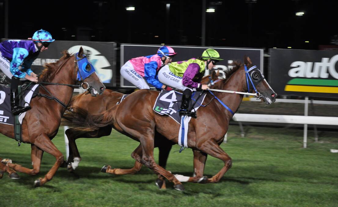 BACK AGAIN: Geegees Baritone and jockey Siggy Carr will be chasing another feature win in the Golden Mile at Spreyton on Friday night. Picture: Greg Mansfield