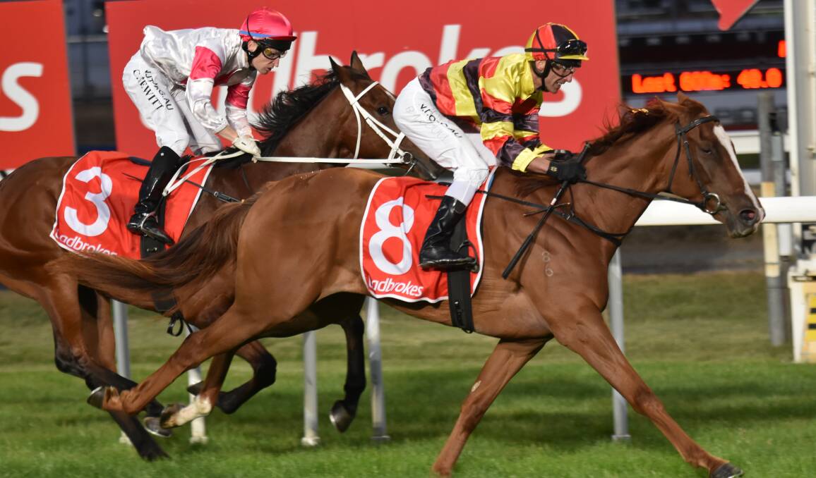 STAR BOOKING: Still A Star, ridden by Brendon McCoull, wins the Tasmanian Guineas at Mowbray in January. Damien Oliver will ride the filly when she resumes at Caulfield on August 15.