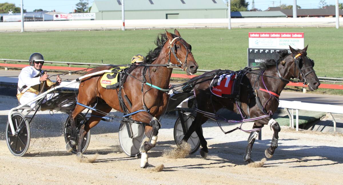 Emjays Black Chip (inside) just holds out Denstown to win in Devonport on Friday night. Picture: Brad Cole
