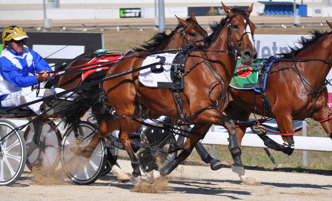 READY TO ROCK: Rocknroll Turbo, driven by Rohan Hillier, wins the Debutante Stakes at Mowbray. Picture: Greg Mansfield