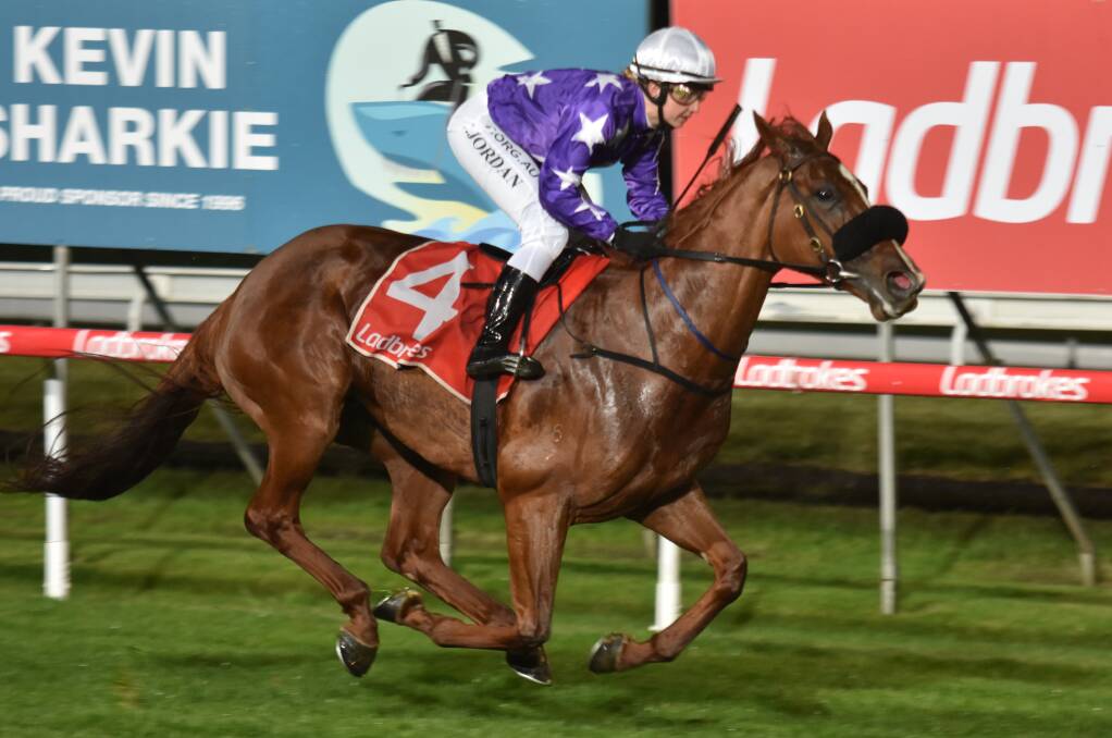 IN FORM: Assaranca and Codi Jordan begin a three-race winning streak at Mowbray in October. They will be out to repeat in Friday's Golden Mile.