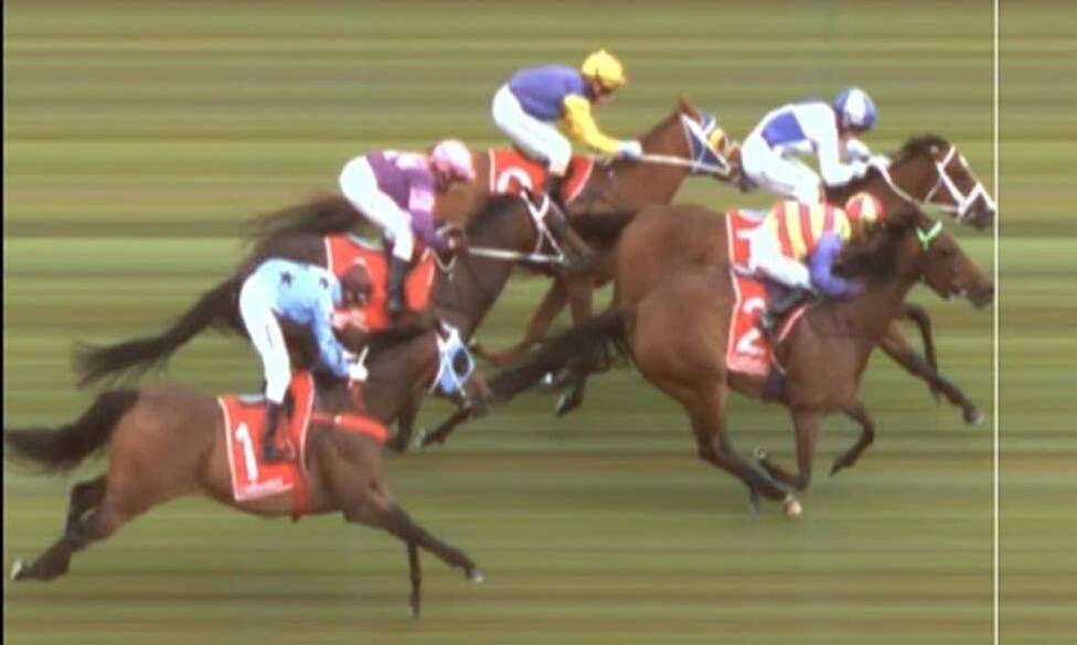 The official photo finish of Wild Style (inside) and Perkins dead-heating in the Maiden Plate at Mowbray on Saturday night.