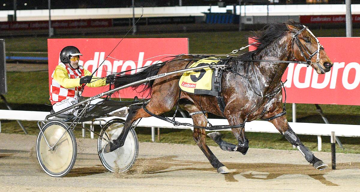 FLYER: Call Me Hector, driven by Matthew Cooper, breaks the Mowbray track record. Picture: Stacey Lear