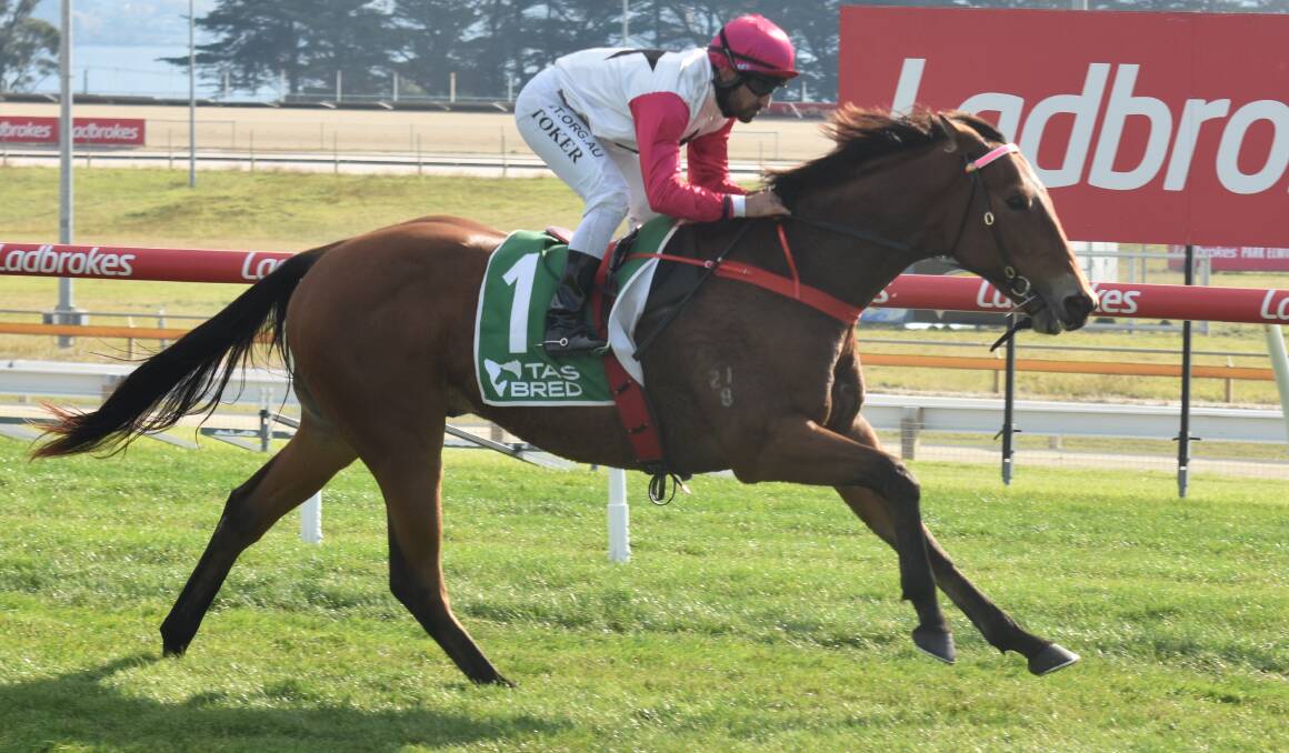 Unbeaten Turk Warrior won't return to racing until the 3YO Cup at Mowbray in a fortnight.
