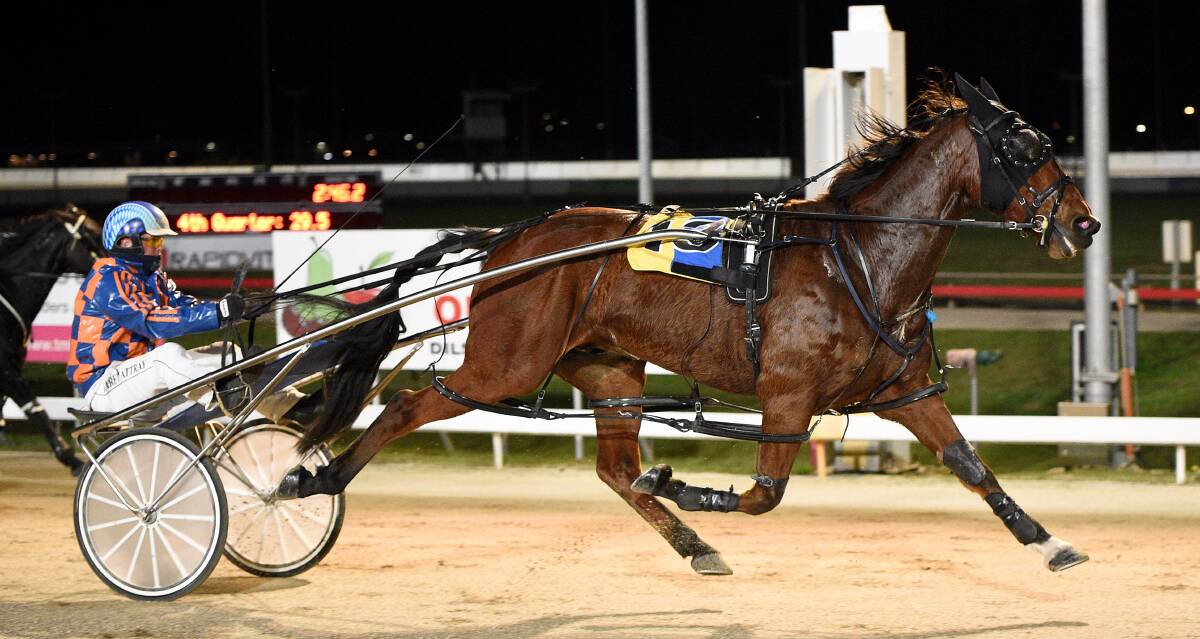 LAST-TO-FIRST: Cardinal Ringo (Gareth Rattray) storms home to win the C2 Pace at Mowbray on Sunday night. Picture: Stacey Lear
