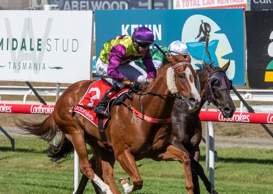 Gee Gee Secondover (Bulent Muhcu) heads for victory in the Royal Rambo at Mowbray on Cup Day.