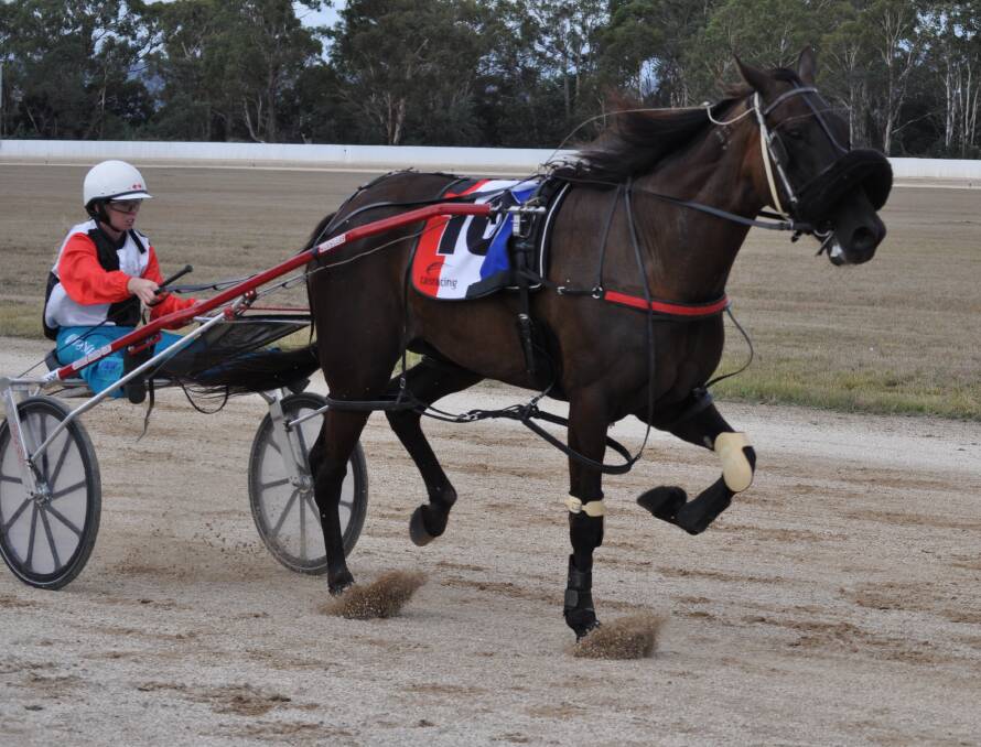 SHOWING WAY: Cemento Rapido, driven by Hannah Van dongen, wins a race on Carrick Cup day at the state's most popular harness venue. Picture: Greg Mansfield