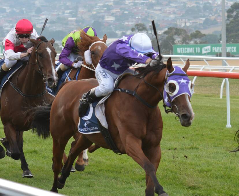 HE'S BACK: Eastender, ridden by Craig Newitt, wins at Elwick in January. The stayer won five consecutive races in Tasmania earlier in the year including all three major cups.