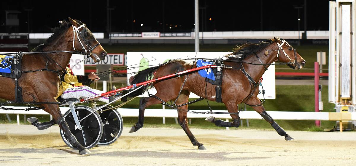 TOUGH WIN: Blingittothemax, driven by Rohan Hillier, found plenty under pressure to return to Tasmanian racing on a winning note at Mowbray on Wednesday night. Picture: Stacey Lear