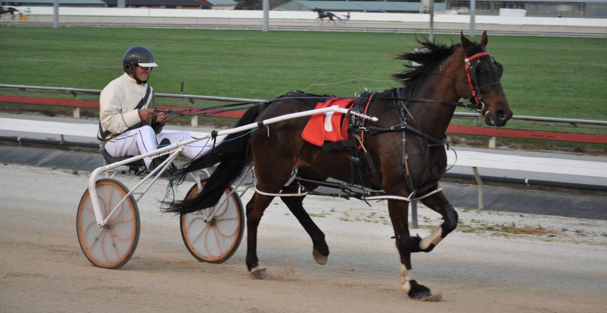 Monarkmac was one of the last horses to win at Devonport which has not hosted a meeting since March.