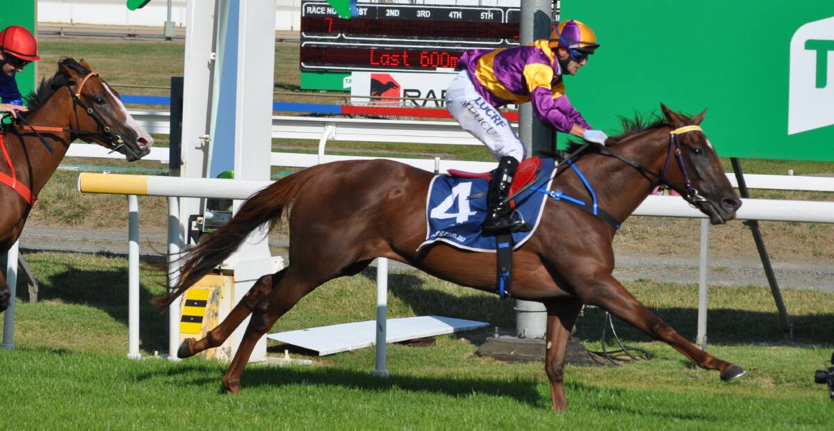 ON TARGET: Shady Hustle and jockey Bulent Muhcu will be trying to end a drought for Tasmanian Oaks winners in Wednesday's Launceston Cup.