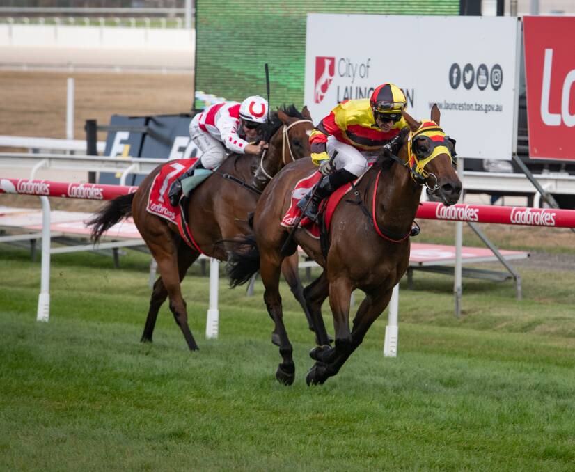 RETURNING: Take The Sit, who resumes from a spell in the Deloraine Cup at Mowbray on Sunday, races to victory in the Vamos Stakes at her last start in February. Picture: Paul Scambler