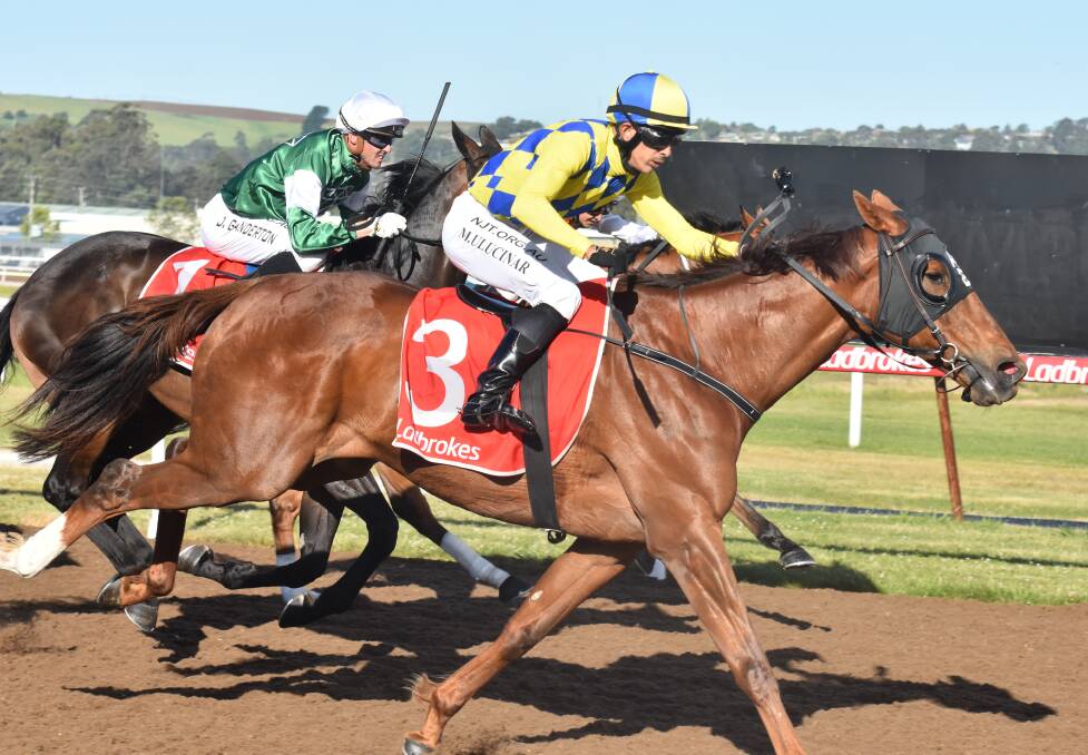 BOLTER: Angela Brakey-trained stayer White Hawk, ridden by Mehmet Ulucinar, wins the $30,000 Golden Mile at the Spreyton twilight meeting on Friday at tote odds of better than 100-1. 