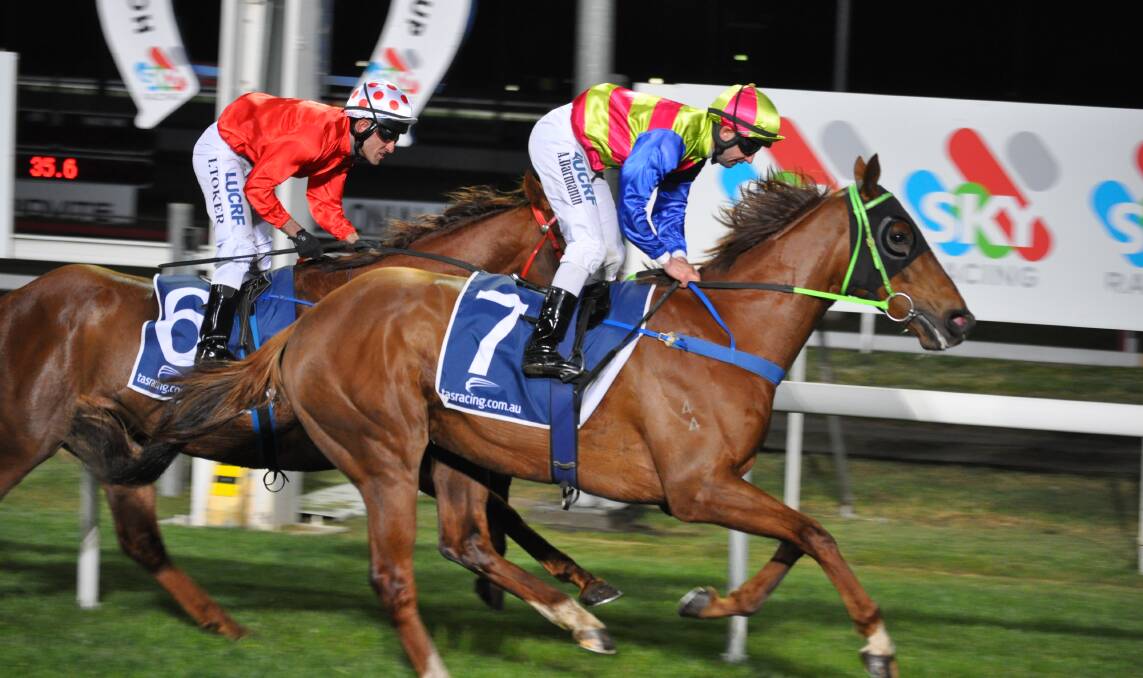 CUPS DREAM: Perun, ridden by Anthony Darmanin, wins the Open Handicap over 2100m at Mowbray on Wednesday night. Connections are hoping he will make it into next year's cups. Picture: Greg Mansfield