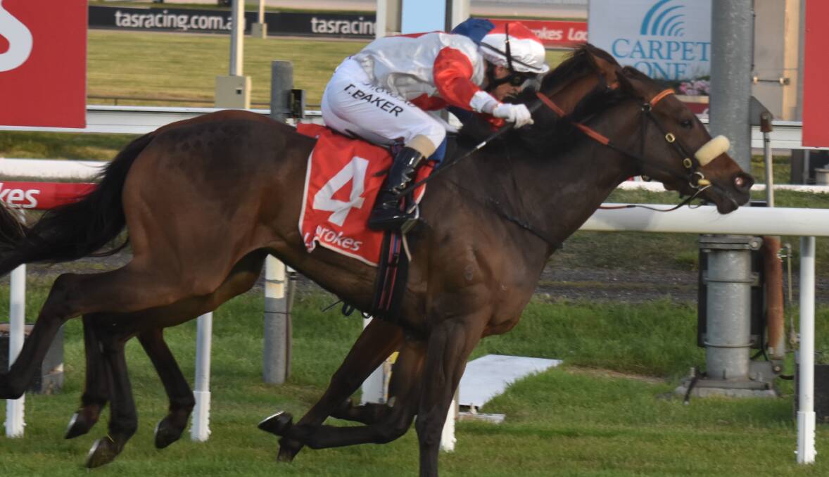 CUP AIM: Miss Tuppence, ridden by Troy Baker, was one of two 3YO Cup contenders to win for Spreyton trainer Adam Trinder and owner Wayne Roser at Mowbray on Wednesday night.
