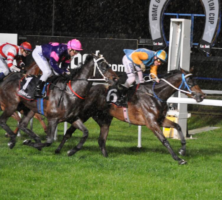 SENTIMENTAL: Jason Maskiell rode Kingsclere through driving rain to win a race for his grandfather Ken Hanson at Mowbray on Wednesday night. Picture: Greg Mansfield