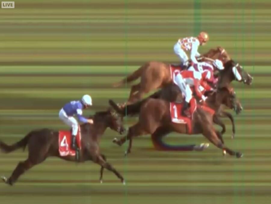 Another close photo finish in the Class 1 Plate saw Rhode Away (centre) win by a half head from Need A Gin (outside) with Encosta Fiorente (inside) a short half head away third.