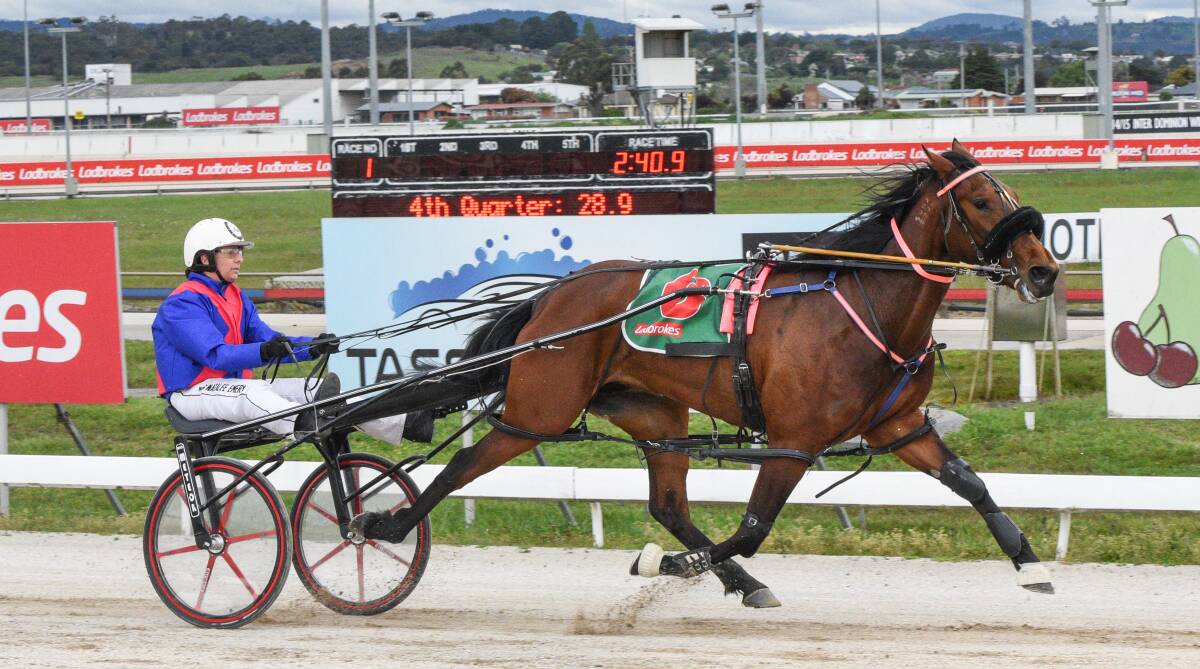 TOO GOOD: Blame It On Me, driven by Natalee Emery, scores an easy win at Mowbray on Sunday night and is on target for the $50,000 Bandbox Stakes. Picture: Stacey Lear
