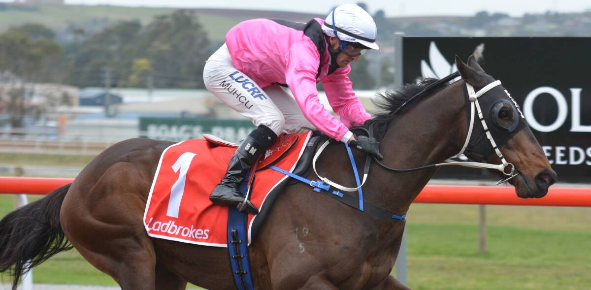 BOILOVER: Ethical Dilemma and jockey Bulent Muhcu scored an upset win in the Open Handicap at Mowbray on Friday night.
