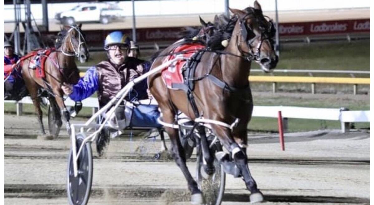 Bullys Delight, driven by Rhys Nicholson, wins the Tasmania Cup in Hobart on March 13
