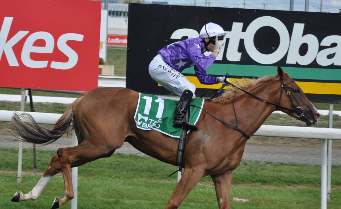 Star mare Deroche will remain in Tasmania until at least the end of the summer carnival.