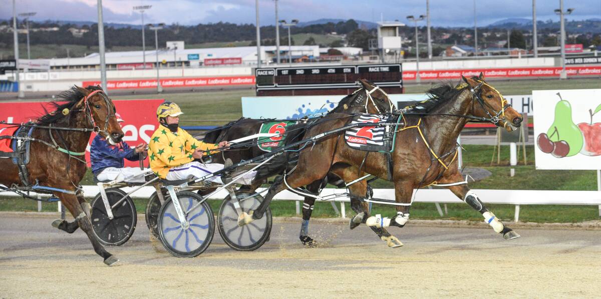 Rohan Hillier missed out on a trip to Adelaide at the weekend but won Sunday's first race at Mowbray on Gypsy Amour. Picture by Stacey Lear