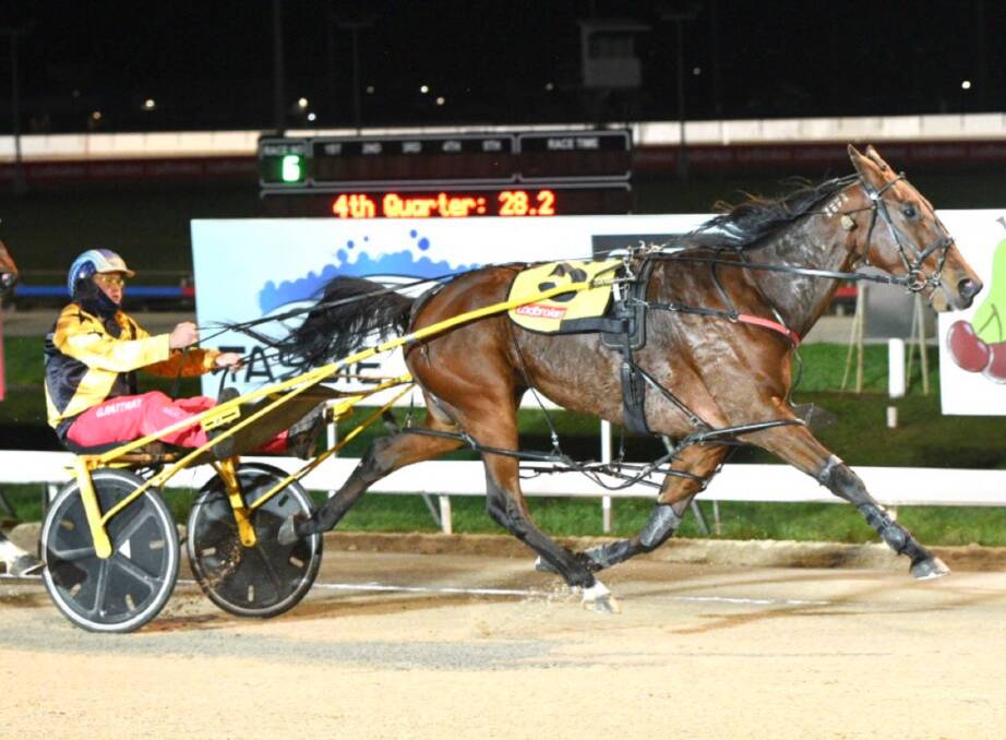 State record-holder Sunny Sanz returns to a sprint trip in Sunday night's Golden Mile. Picture: Stacey Lear