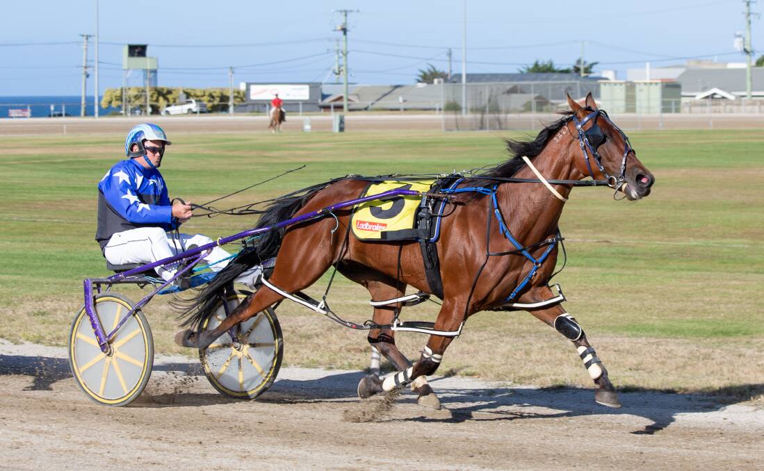 Mister Gently is one of the backmarkers for Sunday night's rescheduled North Eastern Pacing Cup.